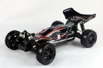 1/10 Scale RTR 4WD Electric Brushed Buggy-Spirit EBD