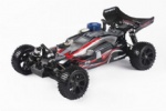 1/10 Scale RTR Nitro Buggy(Two Speed)-Spirit N2