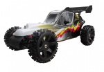 1/5 2WD Gas Powered Ready To Run Buggy